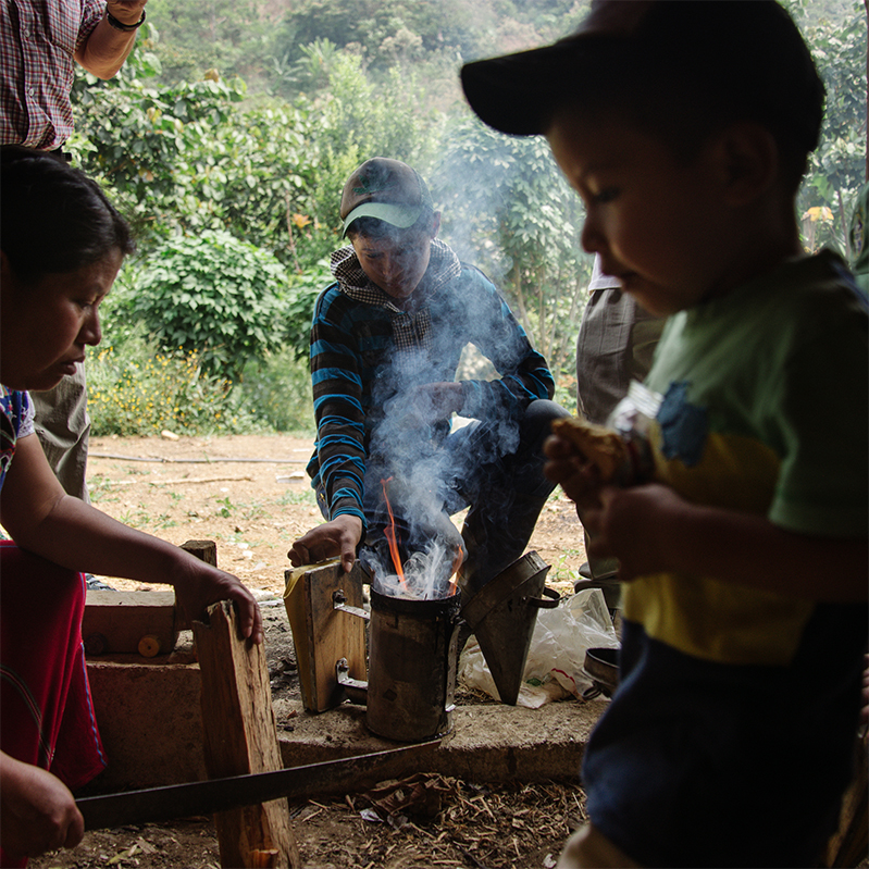 bee keeping maya ixil