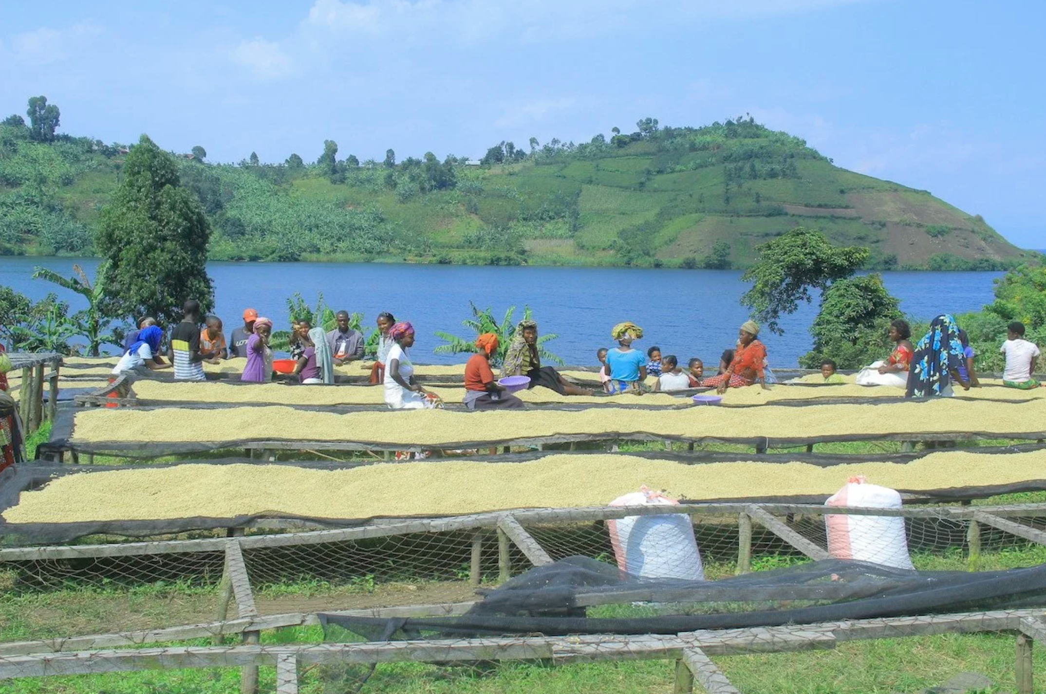 D.R. Congo