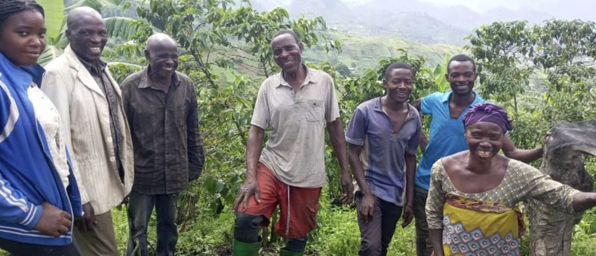 D.R. Congo, Washed Process | Roast level: LIGHT | Crisp Mandarin, Hibiscus, Dark Plum - Image 5