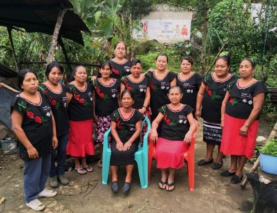 Mayan Village, Bella Vista coffee